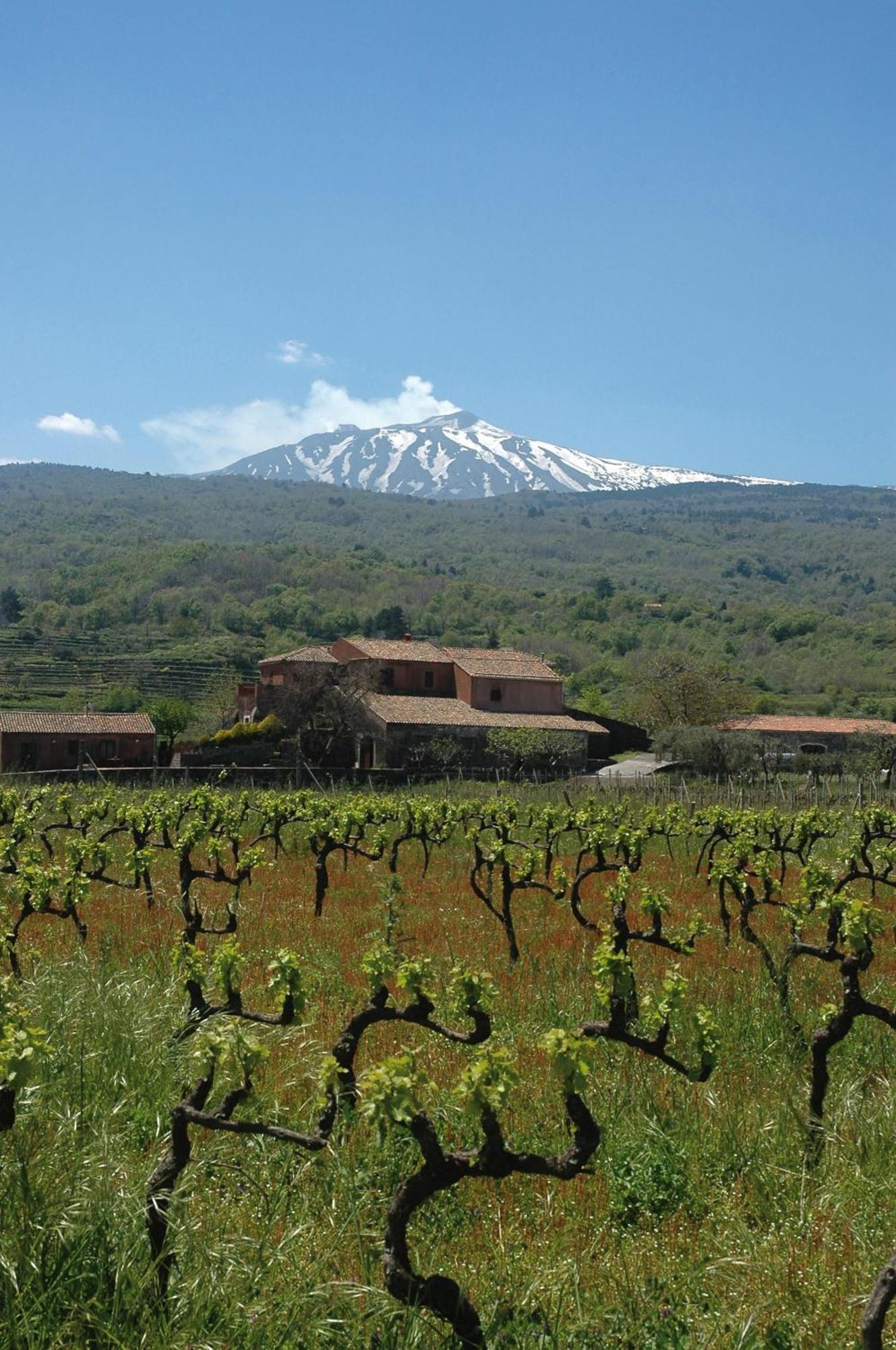 Agriturismo Valle Galfina Linguaglossa Exterior foto